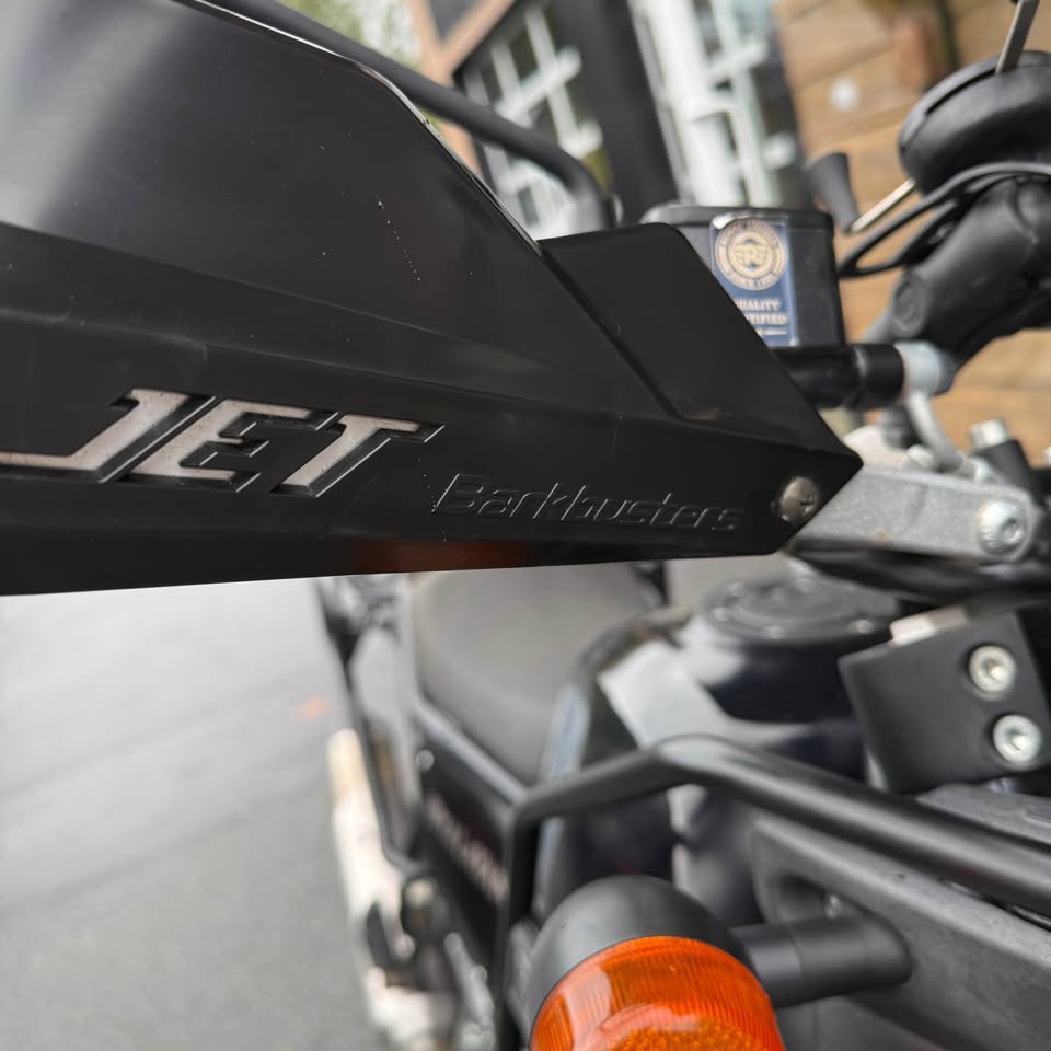 2021 Royal Enfield Himalayan - 1295