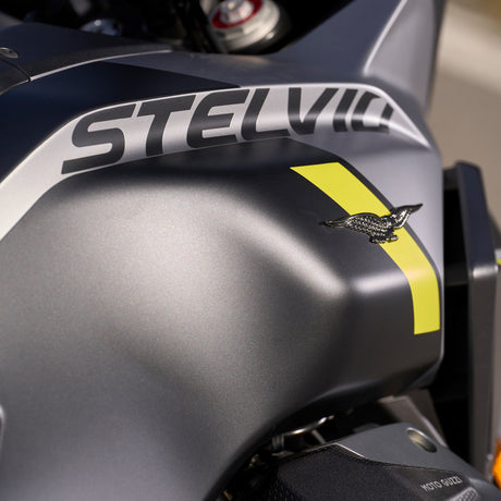 2024 STELVIO | Ignition Motorsports