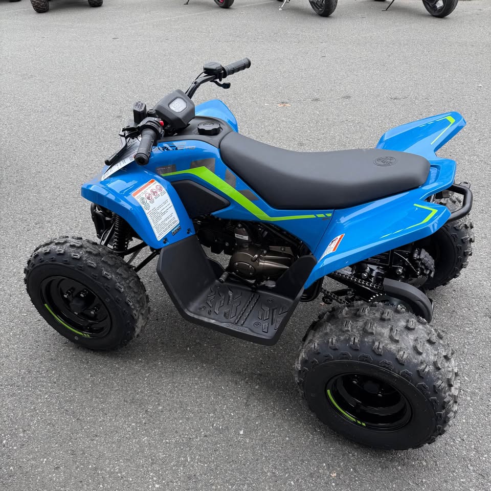 2026 CFORCE 110 CLASSIC - 0132