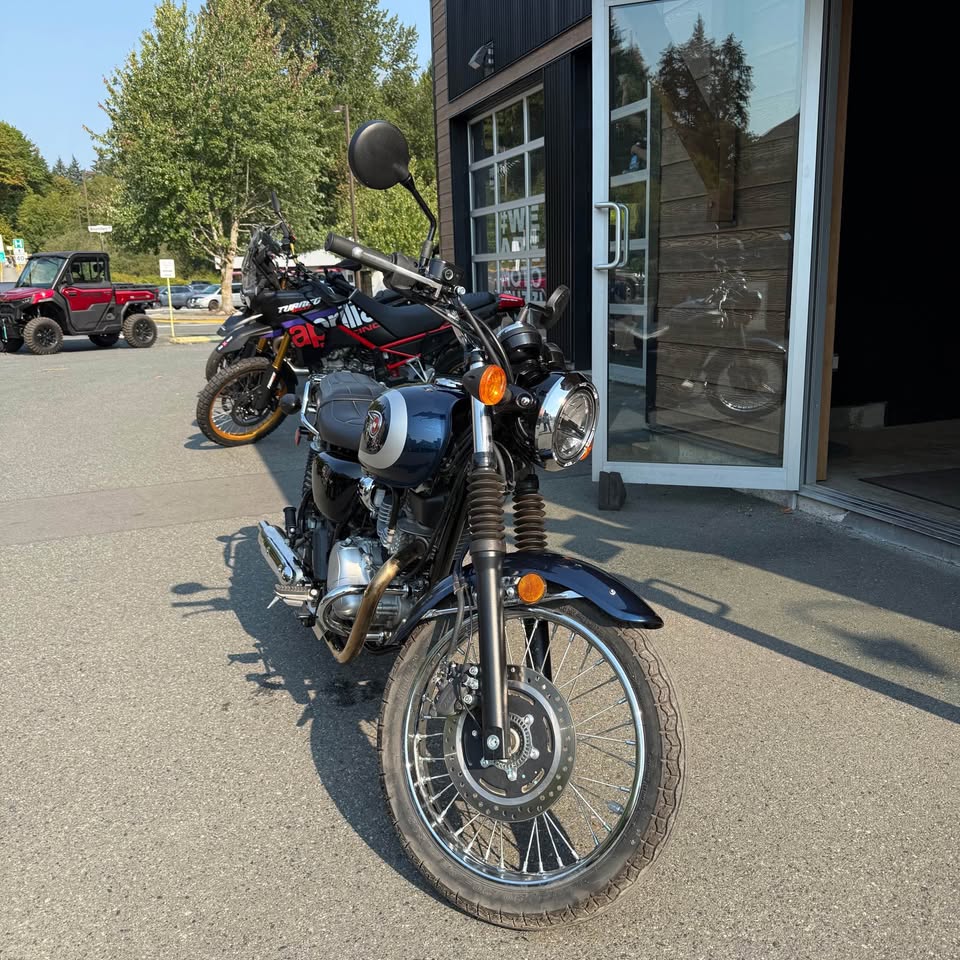 2025 Kawasaki W 230 - 1337