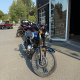 2025 Kawasaki W 230 - 1337