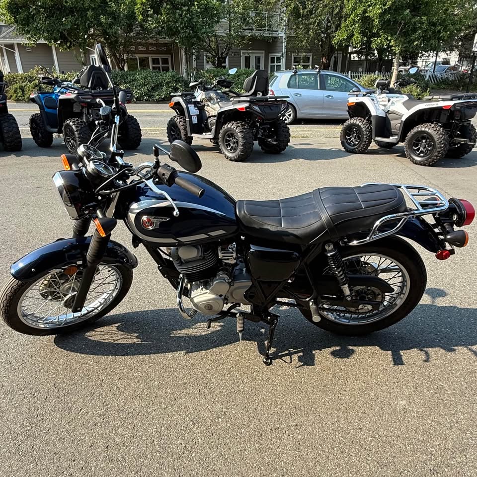 2025 Kawasaki W 230 - 1337