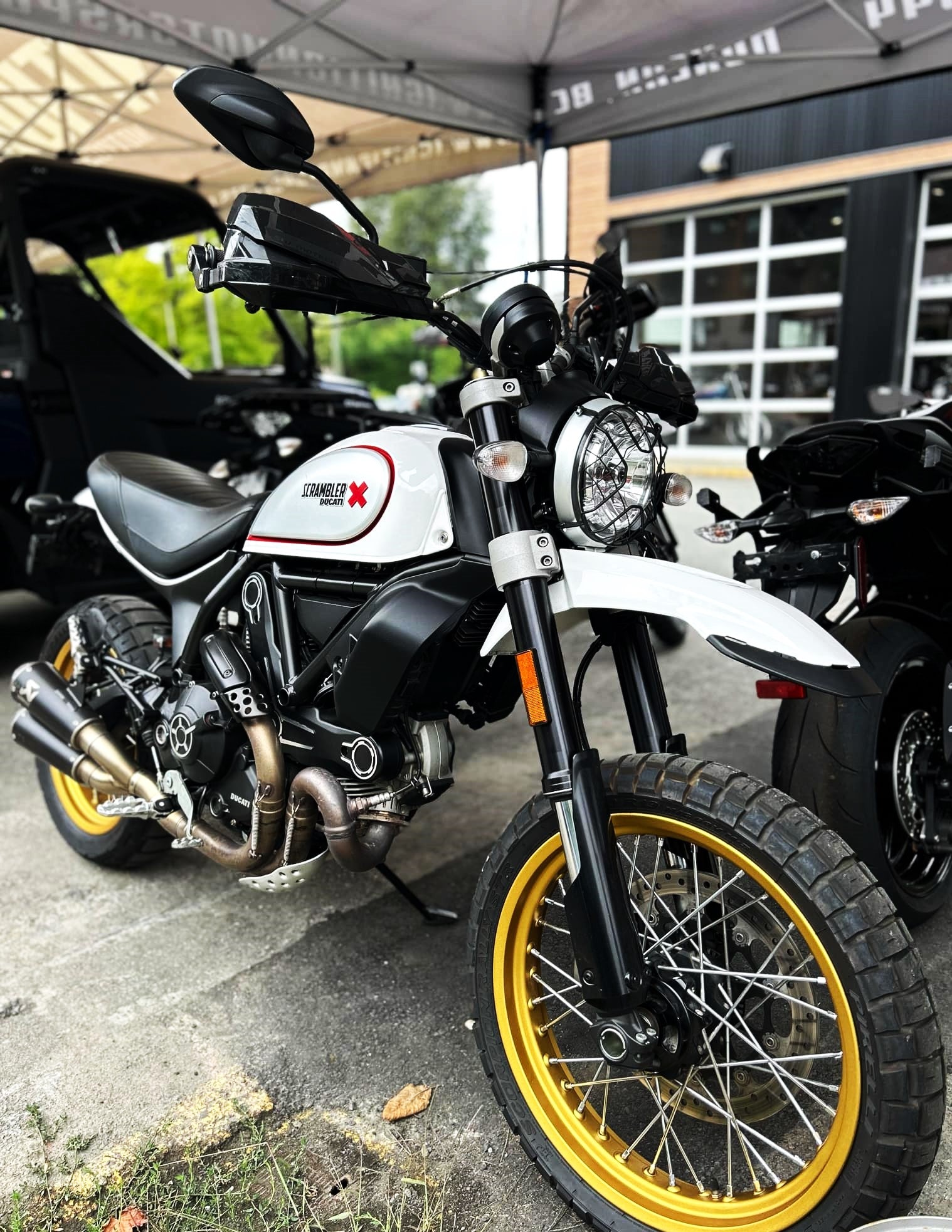 Ducati scrambler desert sled 2018 online