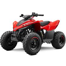 2025 CFORCE 110 CLASSIC  - 1885